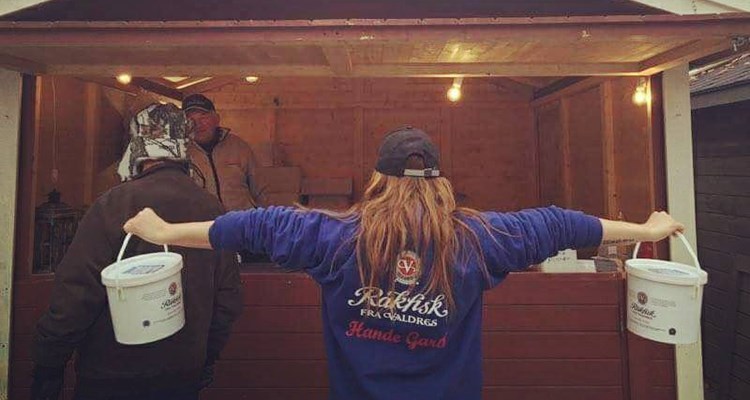 14962771 1709865819331405 8435002989615244449 N